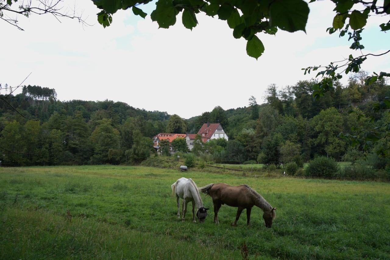 Hotel Haus Recke Balve Extérieur photo